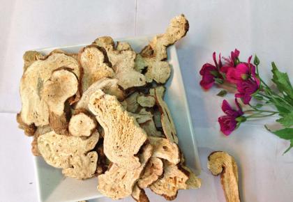 门纯德：白术附子汤应用的四大病症要点(图1)