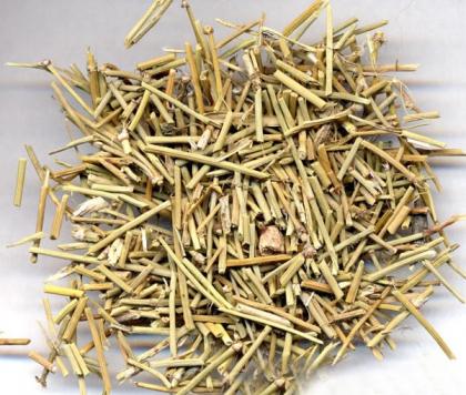 张仲景（伤寒论杂病）常见81味药功效分类