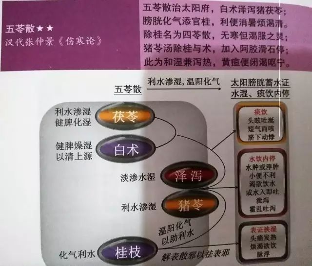 点击查看原图 4.jpeg