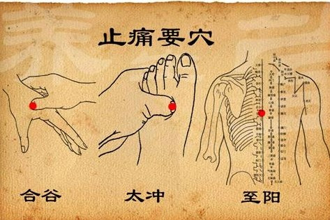 针灸针推医生必知的人体81个特效针灸穴位
