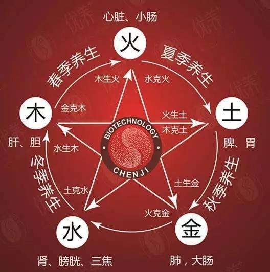 什么是五行和中医五行(图4)