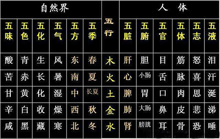 中医与阴阳学和五行学说之间的关系(图2)