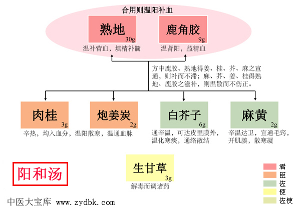 阳和汤