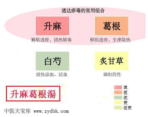 升麻葛根汤(图1)