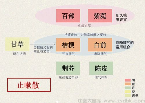 止嗽散(图1)