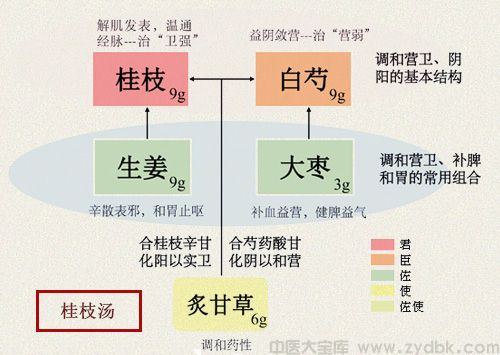 桂枝汤