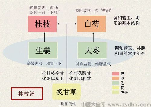 桂枝汤(图1)