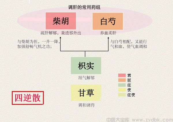 四逆散(图1)