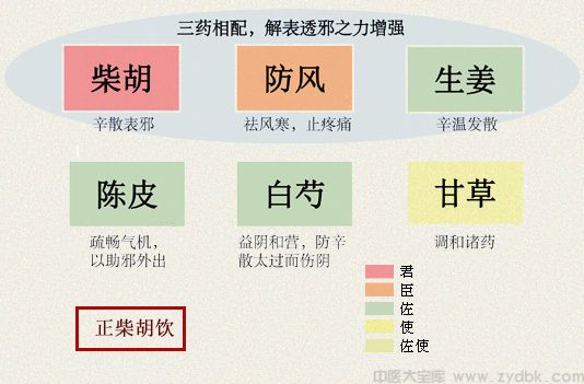 正柴胡饮