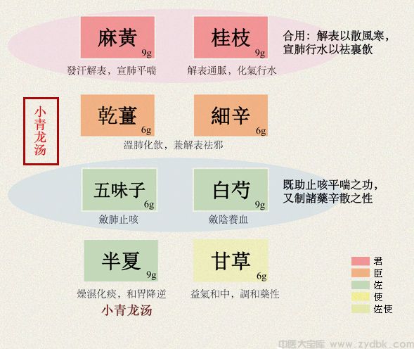 小青龙汤