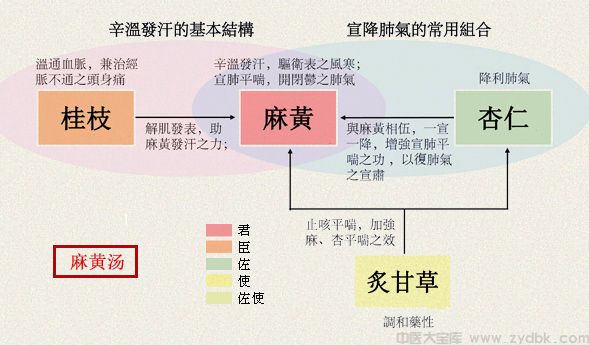 麻黄汤