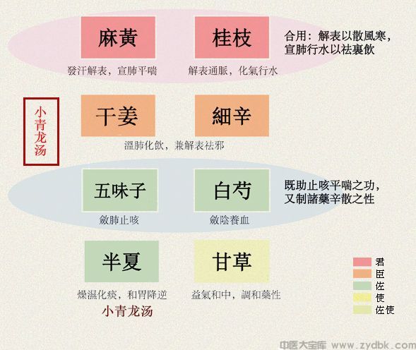 小青龙汤(图1)