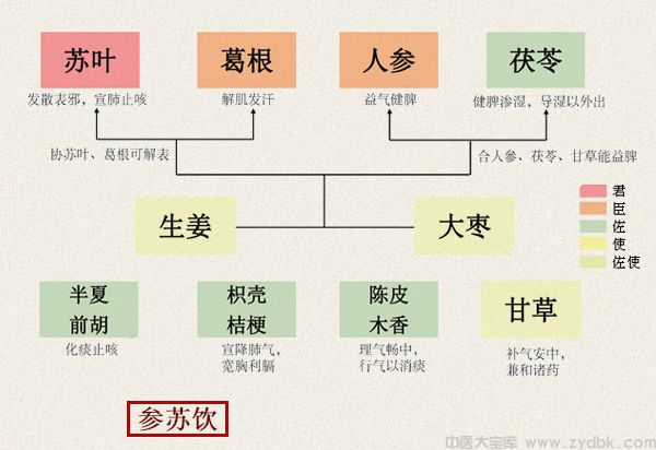 参苏饮