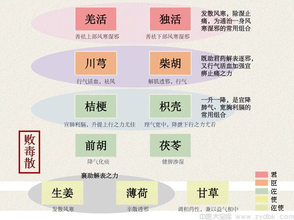 败毒散