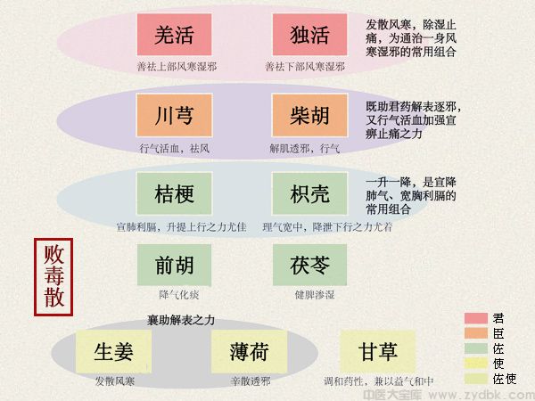 败毒散(图1)