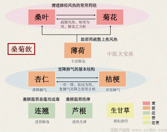 桑菊飲