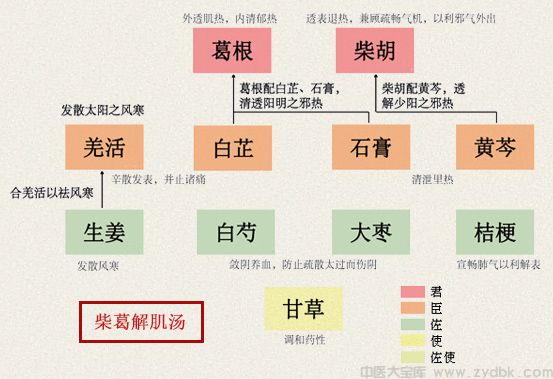 柴葛解肌汤