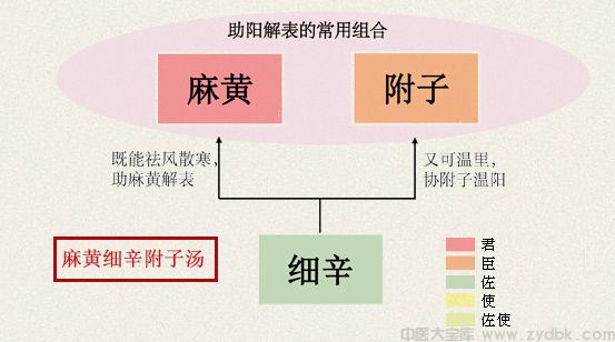 麻黄细辛附子汤