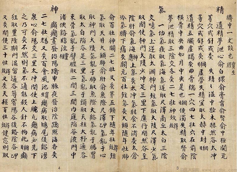 东医须知（子午流注）(图1)