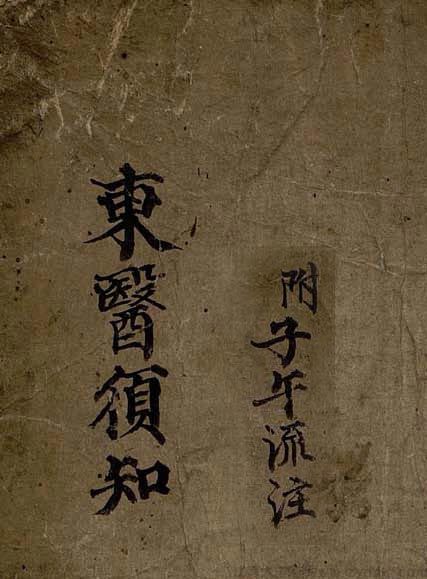 东医须知(子午流