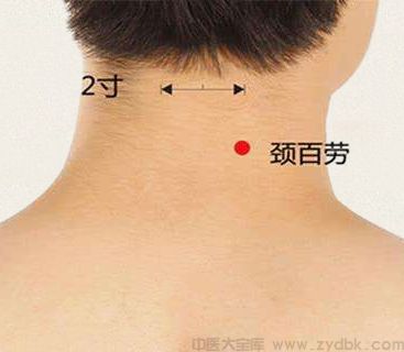 颈百劳