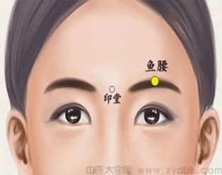 髋骨
