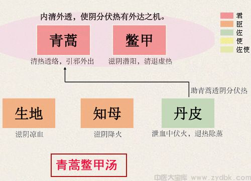 青蒿鳖甲汤(图1)