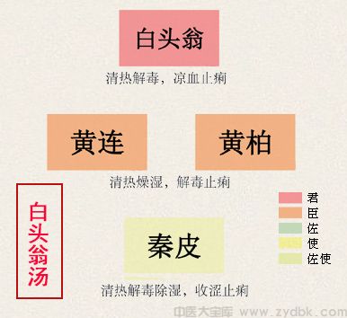 白头翁汤(图1)