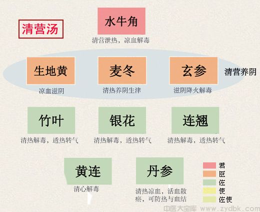 清营汤(图1)