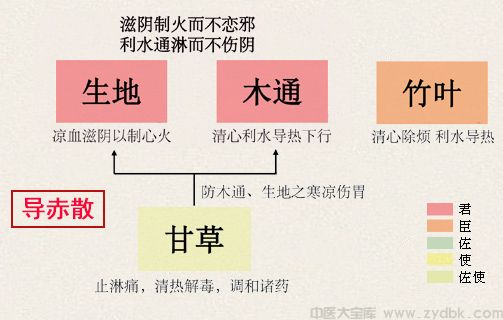导赤散(图1)