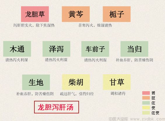 龙胆泻肝汤(图1)