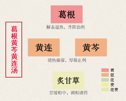 葛根黄芩黄连汤(图1)