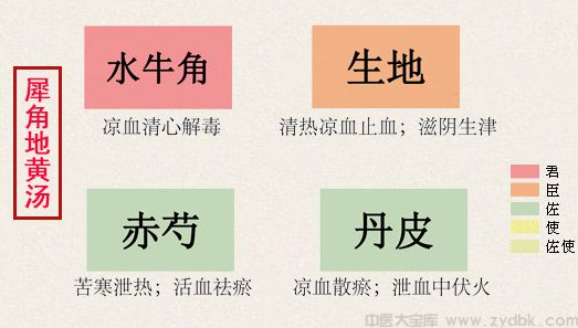 犀角地黄汤(图1)
