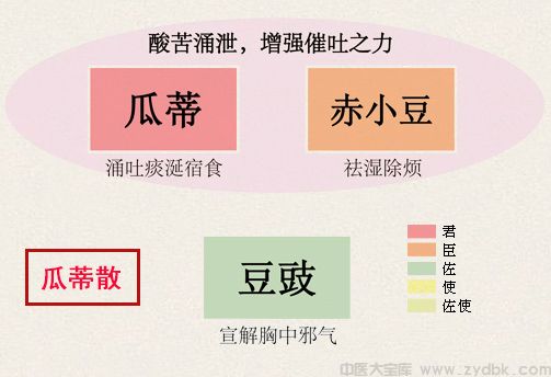 蒿芩清胆汤