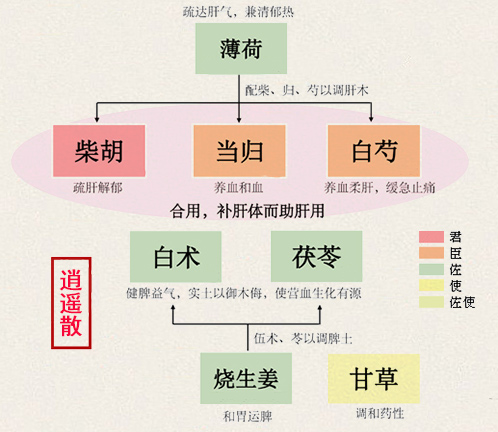逍遥散(图1)
