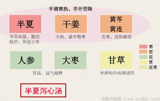 大柴胡汤