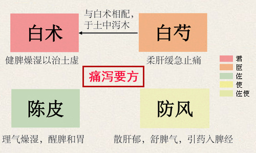 痛泻要方(图1)