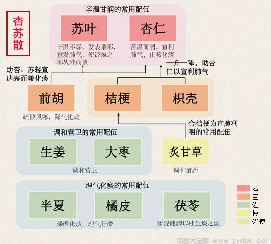 杏苏散(图1)