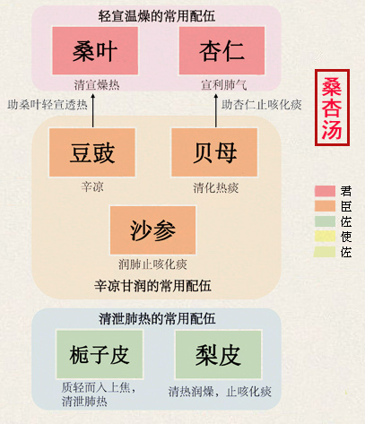 桑杏汤(图1)