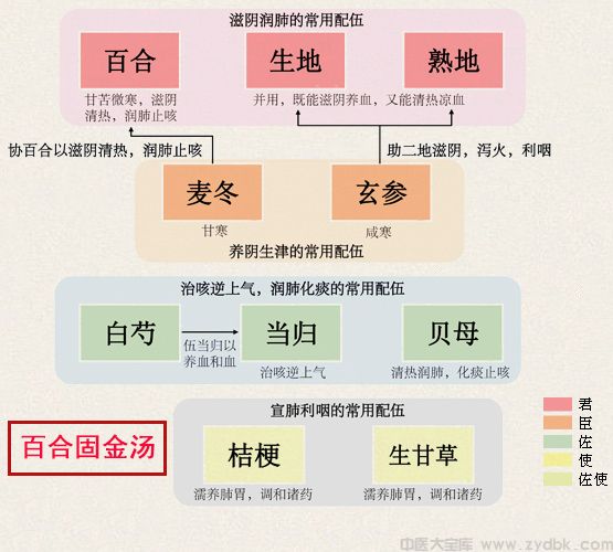 百合固金汤	 (图1)