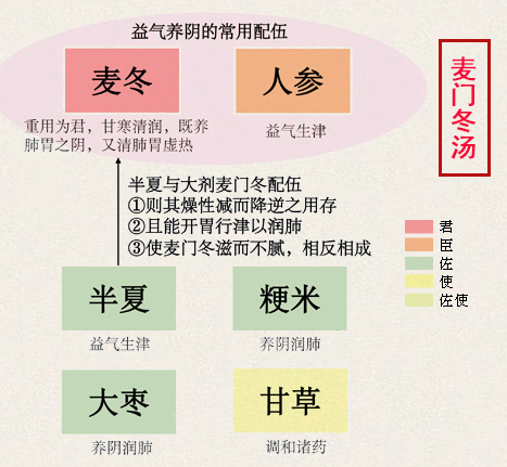 麦门冬汤(图1)