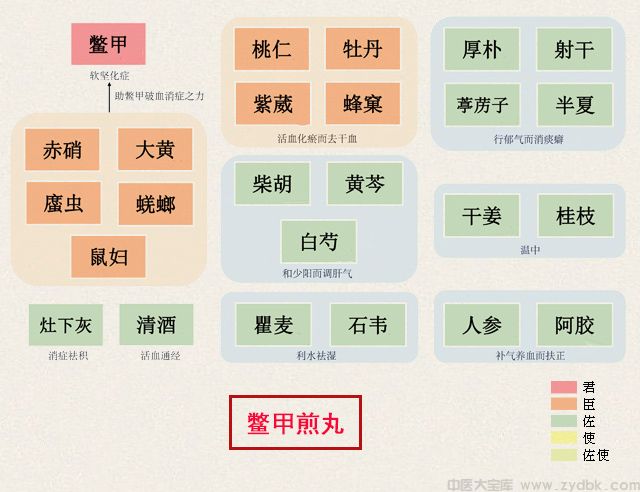 鳖甲煎丸(图1)