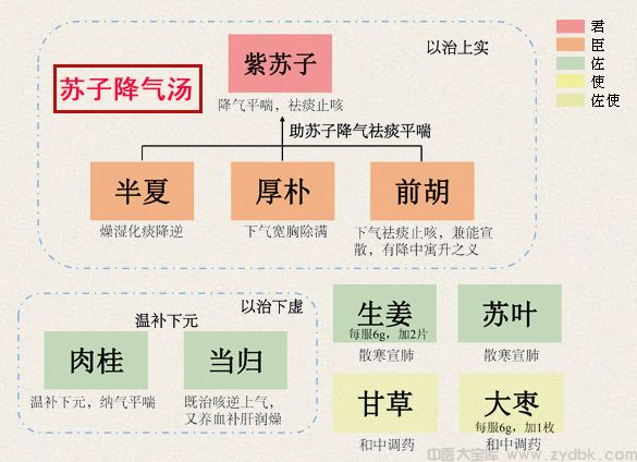 苏子降气汤(图1)