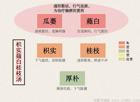 枳实薤白桂枝汤(图1)