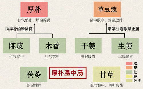 厚朴温中汤(图1)