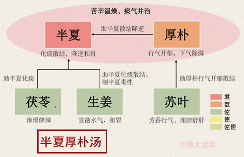 枳实导滞丸
