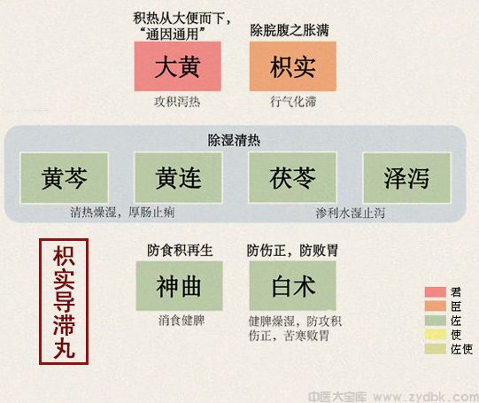 枳实导滞丸(图1)