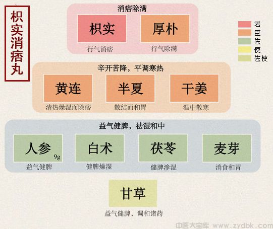 枳实消痞丸(图1)