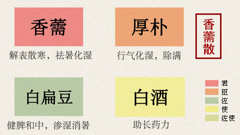 香薷散(图1)