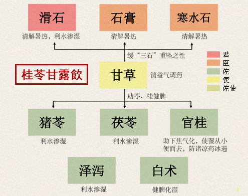 桂苓甘露飲(图1)